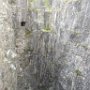 Old shaft of Cu-Au-Fe deposits 2, Nautanen area, Sweden (Fot. Katariina Heino)